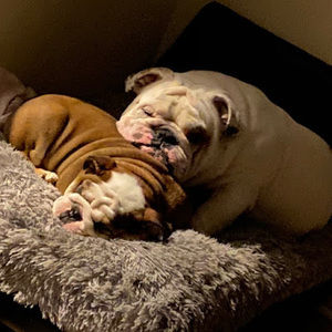 Meet your Posher, Jackie